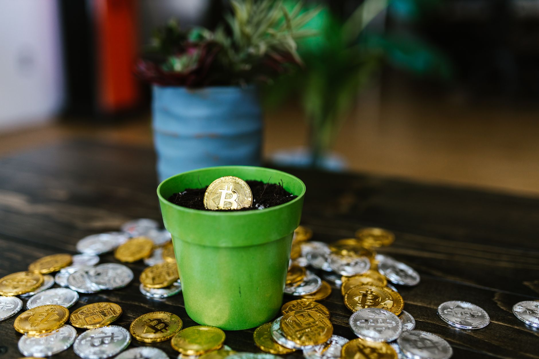 ビットコイン以外に将来性を検討できる仮想通貨